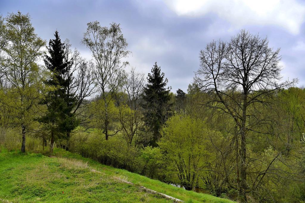 Holiday Home Turovec Tabor Zewnętrze zdjęcie
